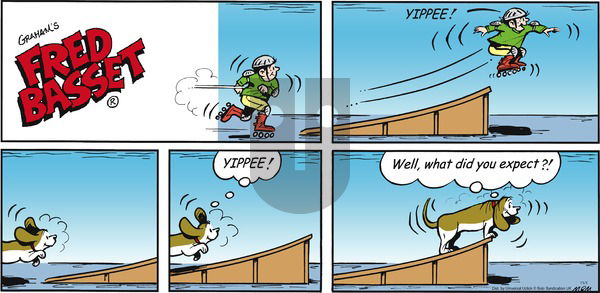 Fred Basset on Sunday November 1, 2015 Comic Strip