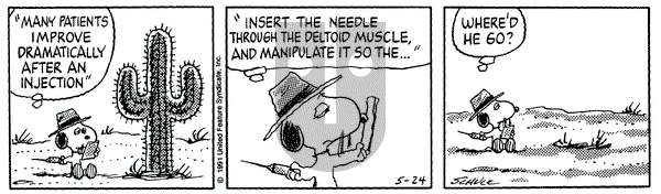 Peanuts on Friday May 24, 1991 Comic Strip