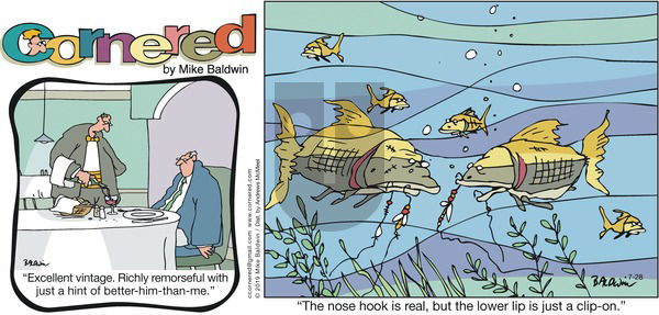 Cornered on Sunday July 28, 2019 Comic Strip