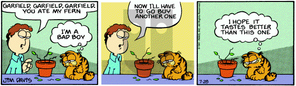 Garfield on Tuesday July 28, 1981 Comic Strip
