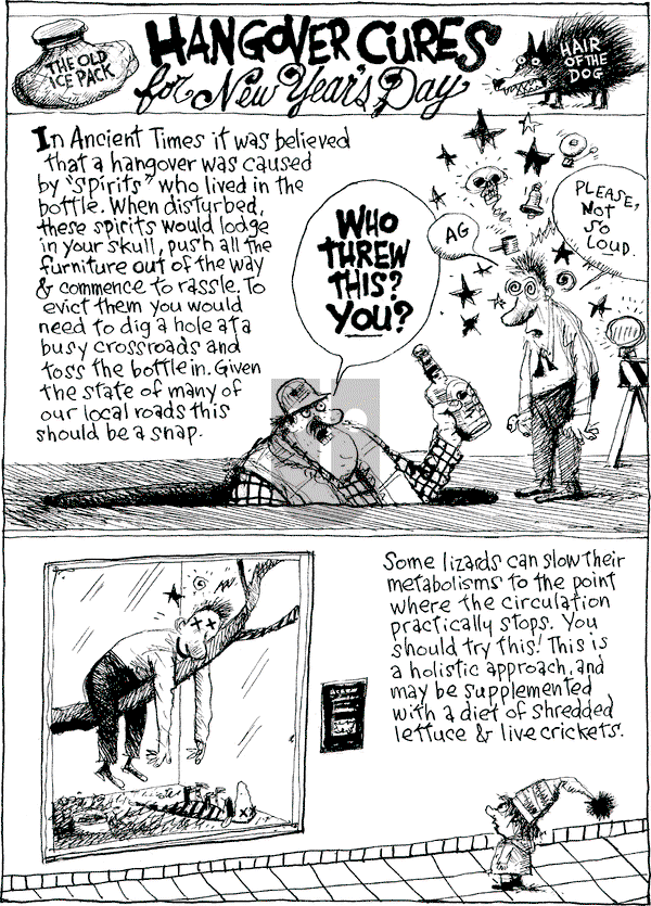 Richard's Poor Almanac on Monday December 31, 2012 Comic Strip