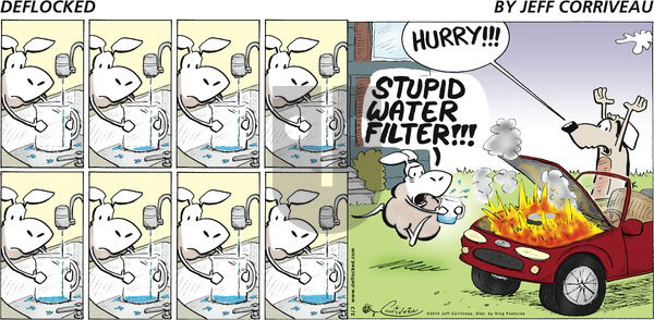DeFlocked on Sunday March 2, 2014 Comic Strip