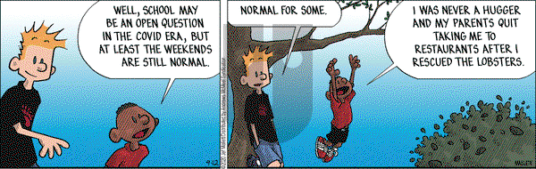 Frazz on Saturday September 12, 2020 Comic Strip