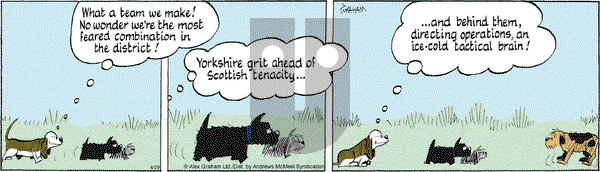 Fred Basset on Tuesday April 29, 2025 Comic Strip