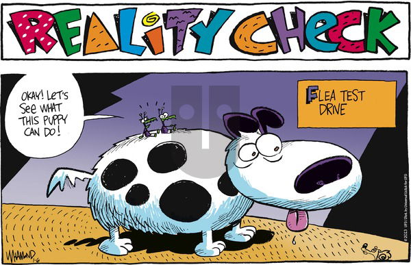 Reality Check on Sunday January 6, 2013 Comic Strip