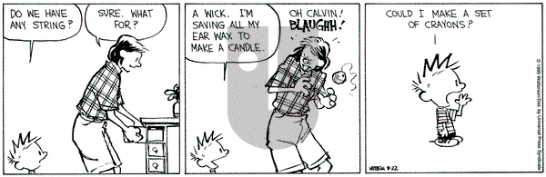 Calvin and Hobbes on Tuesday August 22, 1995 Comic Strip