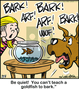 Marmaduke on Wednesday December 4, 2019 Comic Strip