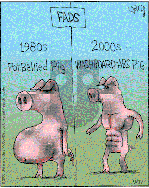 The Flying McCoys on Saturday September 17, 2005 Comic Strip