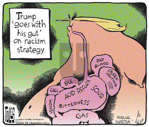 Tom Toles on Thursday July 9, 2020 Comic Strip