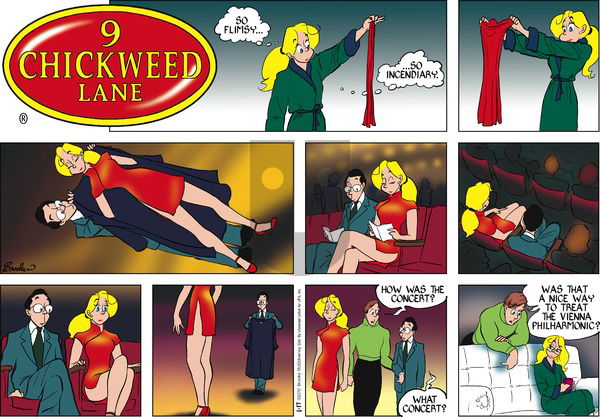 9 Chickweed Lane on Sunday January 17, 2016 Comic Strip