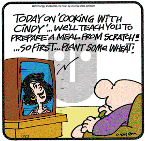 Ziggy on Tuesday June 23, 2009 Comic Strip