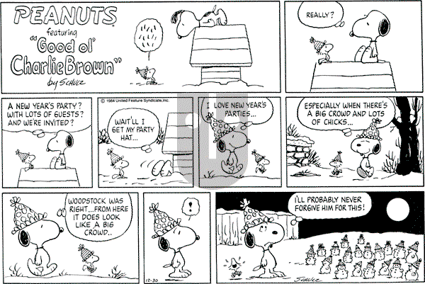 Peanuts - Sunday December 30, 1984 Comic Strip
