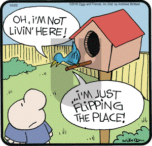 Ziggy on Tuesday October 22, 2019 Comic Strip