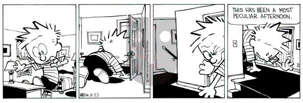 Calvin and Hobbes on Thursday November 23, 1989 Comic Strip