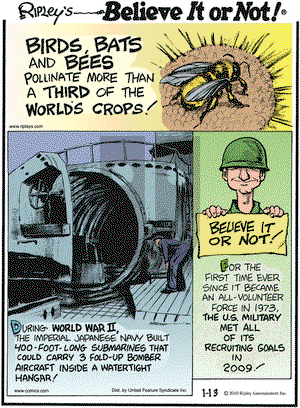 Ripley's Believe It or Not - Wednesday January 13, 2010 Comic Strip