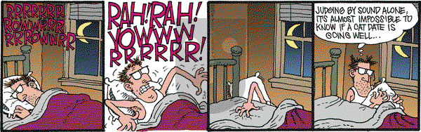 Monty on Wednesday March 21, 2012 Comic Strip