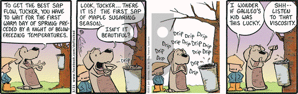 DeFlocked on Wednesday March 21, 2012 Comic Strip