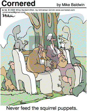 Cornered on Monday August 16, 2010 Comic Strip