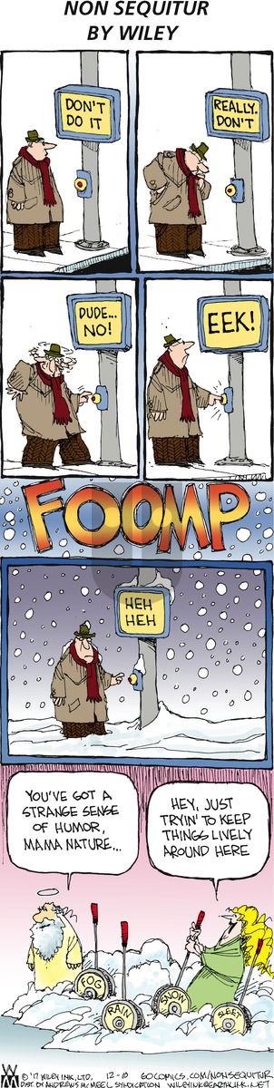 Non Sequitur on Sunday December 10, 2017 Comic Strip