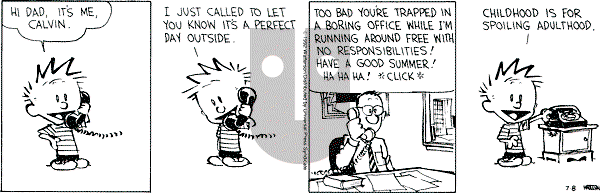 Calvin and Hobbes - Wednesday July 8, 1992 Comic Strip