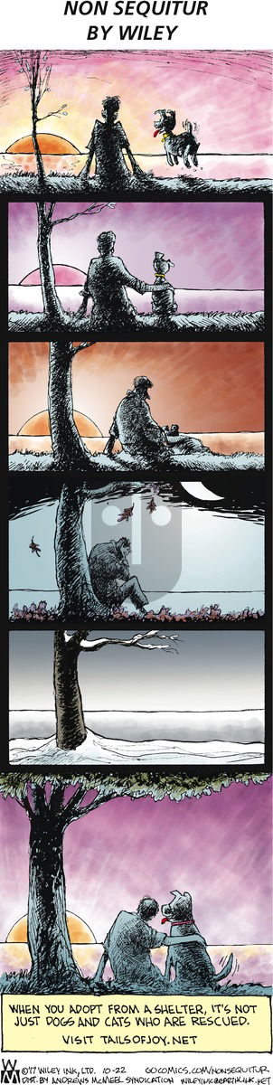 Non Sequitur on Sunday October 22, 2017 Comic Strip