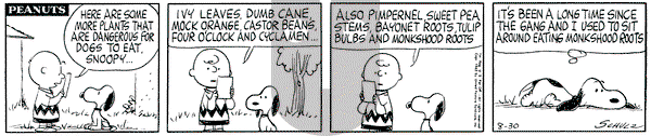 Peanuts on Friday August 30, 1963 Comic Strip