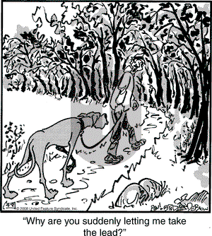 Marmaduke on Wednesday April 9, 2008 Comic Strip