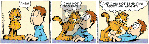 Garfield on Wednesday August 20, 2008 Comic Strip
