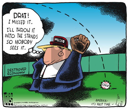 Tom Toles on Sunday August 2, 2020 Comic Strip