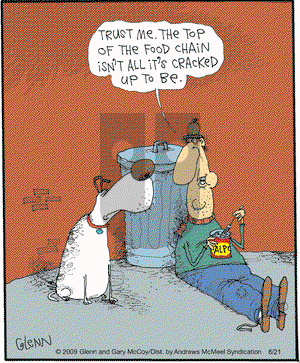 The Flying McCoys on Wednesday August 21, 2019 Comic Strip