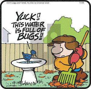 Ziggy on Tuesday November 25, 2014 Comic Strip