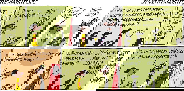 The Knight Life on Sunday July 24, 2011 Comic Strip