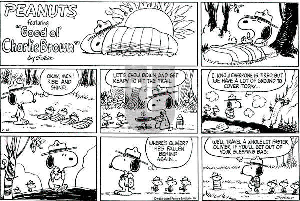 Peanuts - Sunday July 16, 1978 Comic Strip
