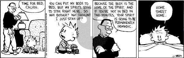 Calvin and Hobbes - Thursday January 31, 1991 Comic Strip