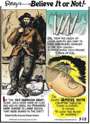 Ripley's Believe It or Not on Monday March 10, 2014 Comic Strip