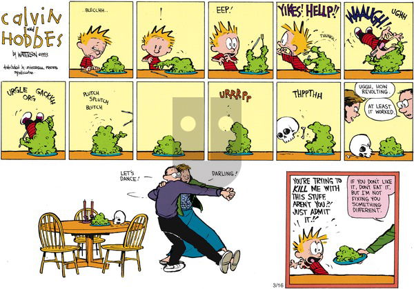 Calvin and Hobbes on Sunday May 2, 1993 Comic Strip