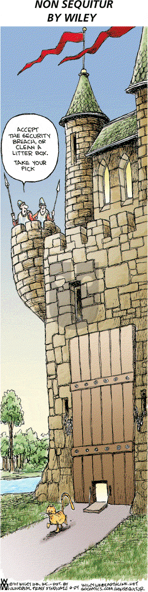 Non Sequitur on Sunday June 24, 2007 Comic Strip