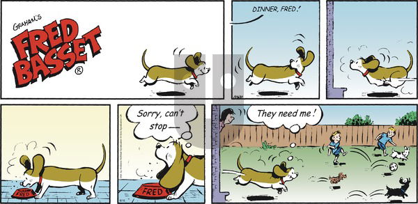 Fred Basset on Sunday August 16, 2020 Comic Strip
