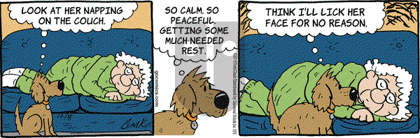 Lola on Thursday December 8, 2016 Comic Strip