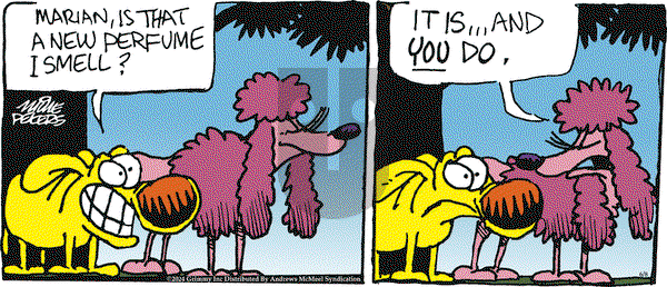 Mother Goose and Grimm - Saturday June 8, 2024 Comic Strip