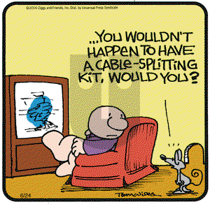 Ziggy on Wednesday June 24, 2009 Comic Strip