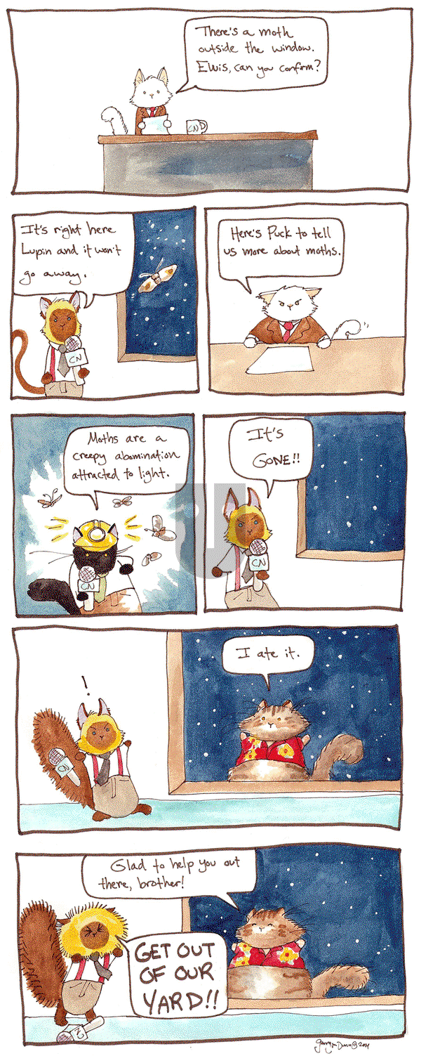 Breaking Cat News on Thursday September 8, 2016 Comic Strip
