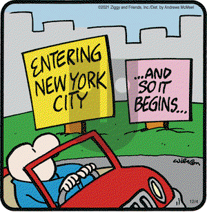 Ziggy - Saturday December 4, 2021 Comic Strip