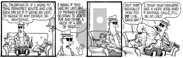 Monty on Thursday June 21, 2007 Comic Strip