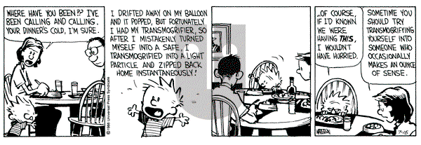 Calvin and Hobbes on Friday July 15, 1988 Comic Strip