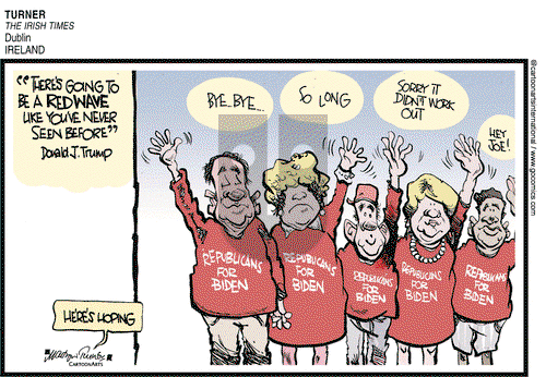 ViewsAmerica on Monday October 19, 2020 Comic Strip