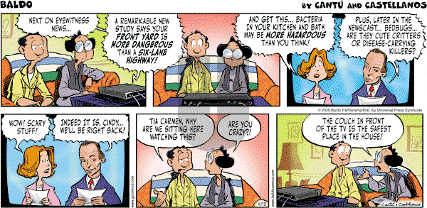 Baldo - Sunday April 13, 2008 Comic Strip