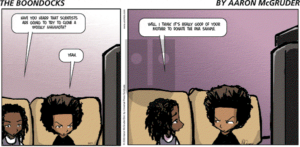 The Boondocks on Sunday April 24, 2011 Comic Strip