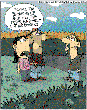The Flying McCoys on Friday November 25, 2016 Comic Strip