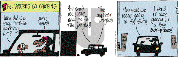 The Knight Life on Tuesday December 1, 2009 Comic Strip